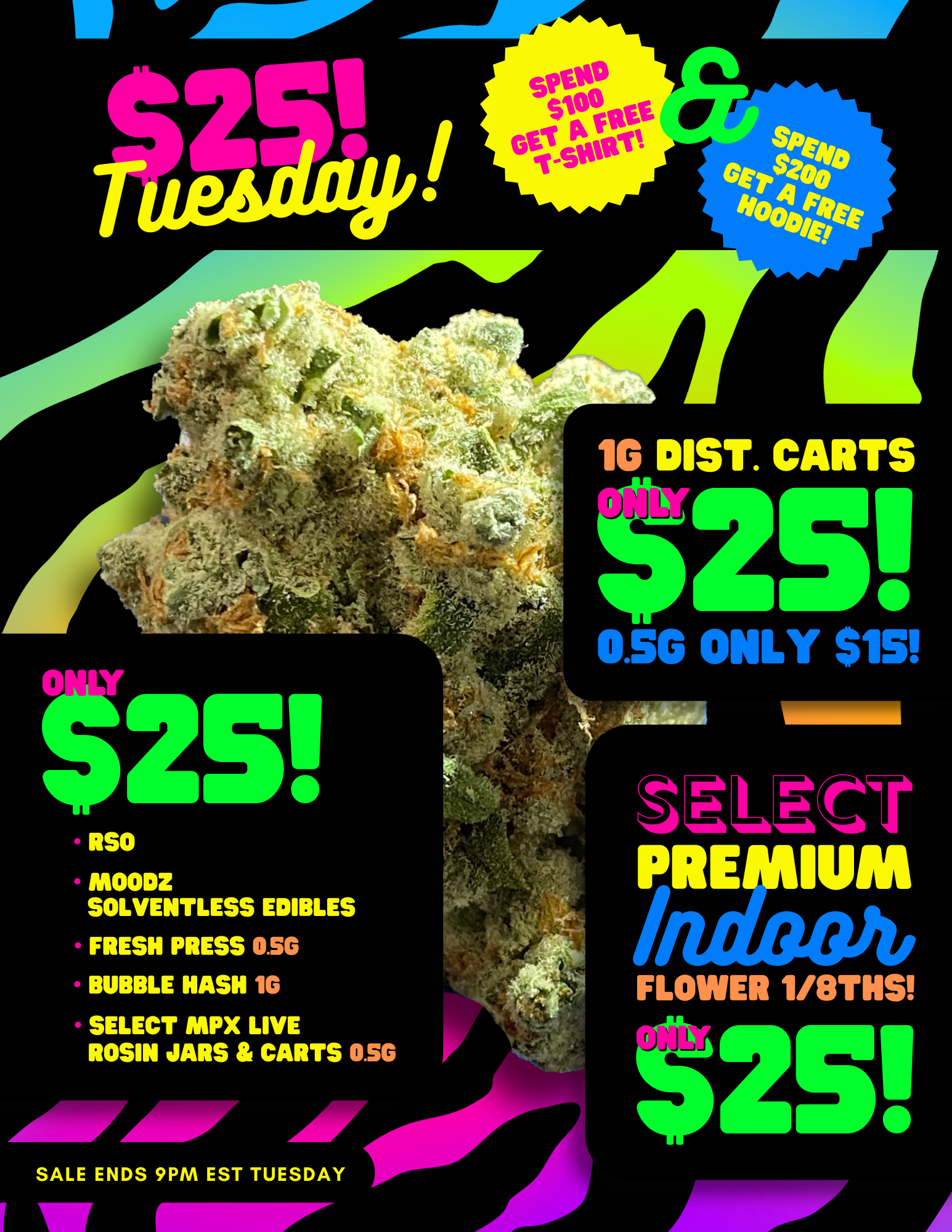 1.23 TUES PROMO PM EMAIL