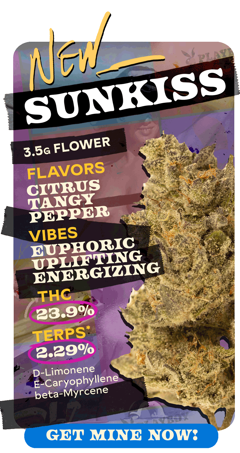 New Sunkiss 3.5G Flower Easter GetMineNow