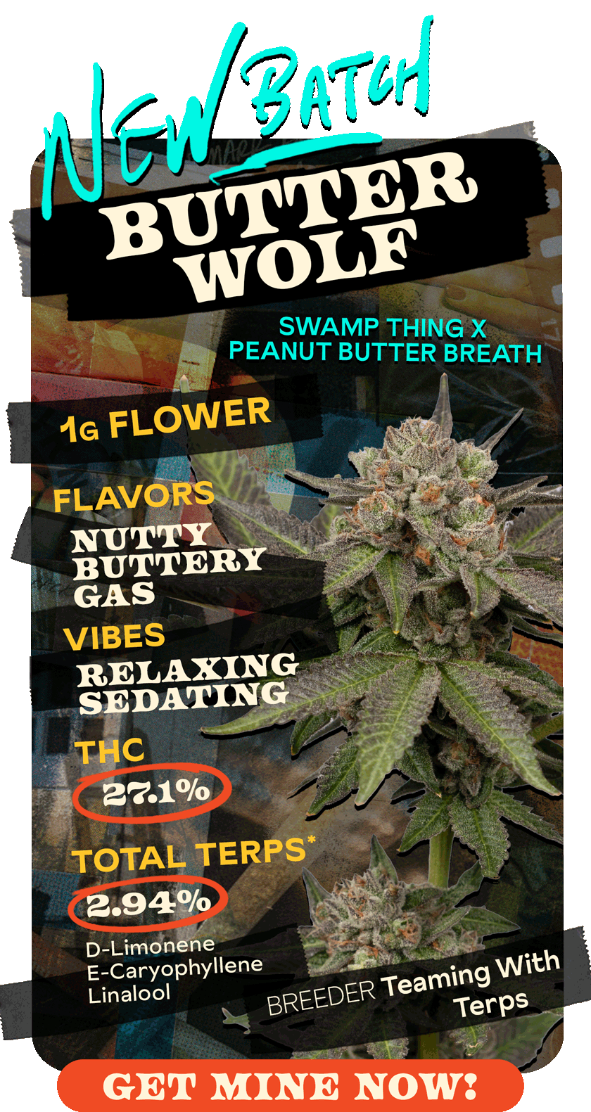 NewBatch ButterWolf 1G Flower 420