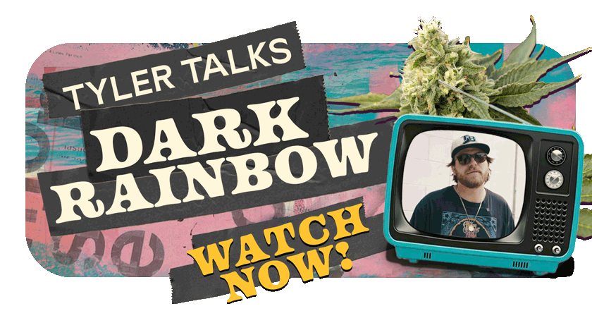 Tyler Talks Dark Rainbow Watch Now Mini Tile MothersDay