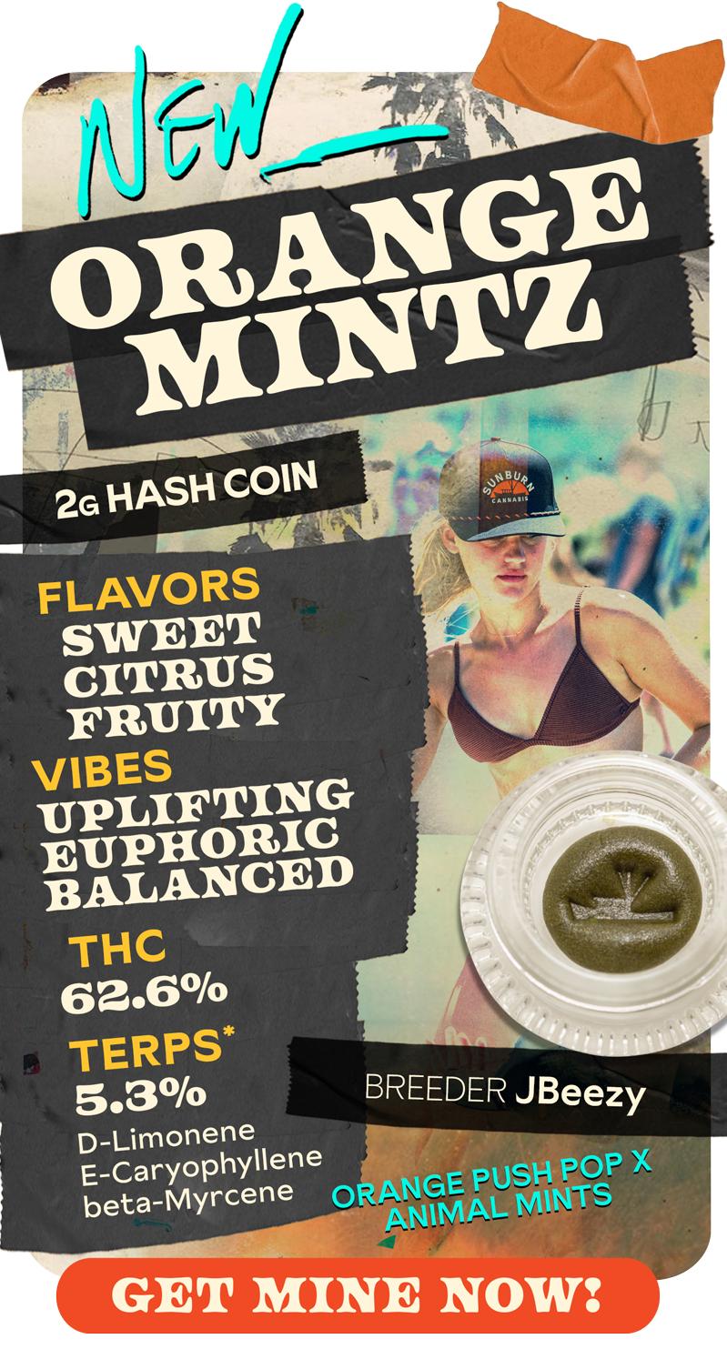 New Orange Mintz 2G HashCoin